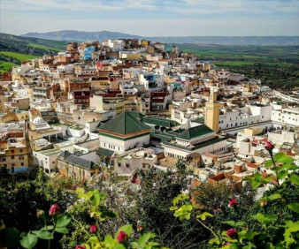 Moulay Idriss tour from Fez