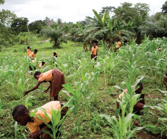 Learning about agriculture in Mauritania