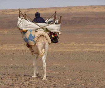 Camel Caravan tours to Morocco with a small group