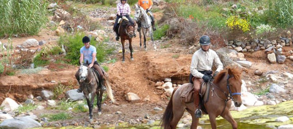 small group horseback tours and wellness to Morocco