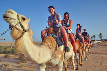 Overland tours to Israel with small groups